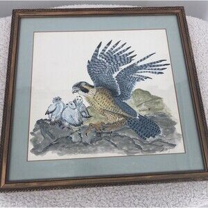 Peregrine Falcon With Chicks Original Watercolor Painting Artist Crickett Framed